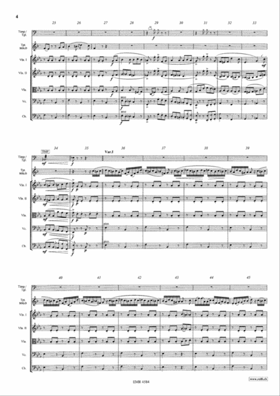 The Carnival Of Venice String Orchestra scores gallery preview page 4