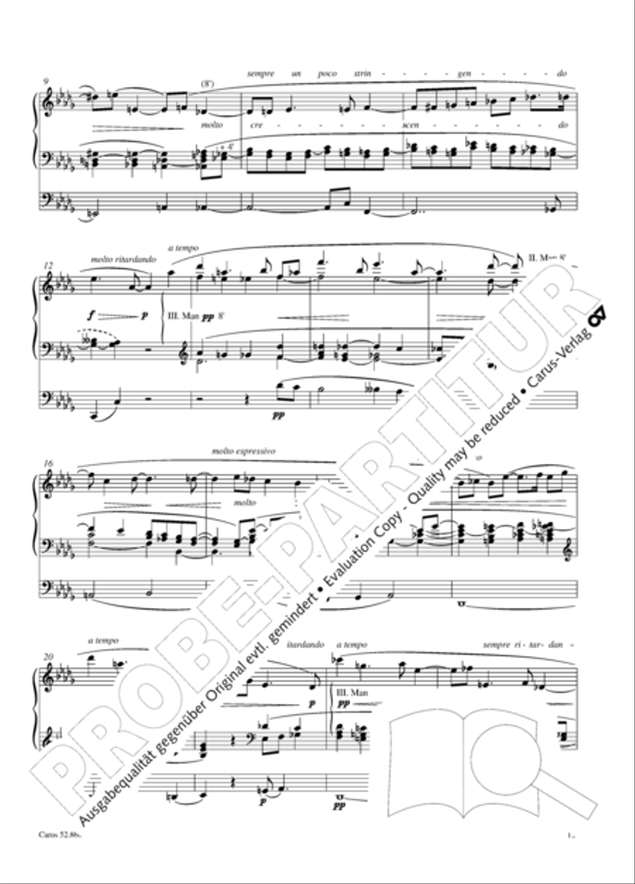 12 Stucke, Op. 59 Heft 2 Organ Solo scores gallery preview page 13