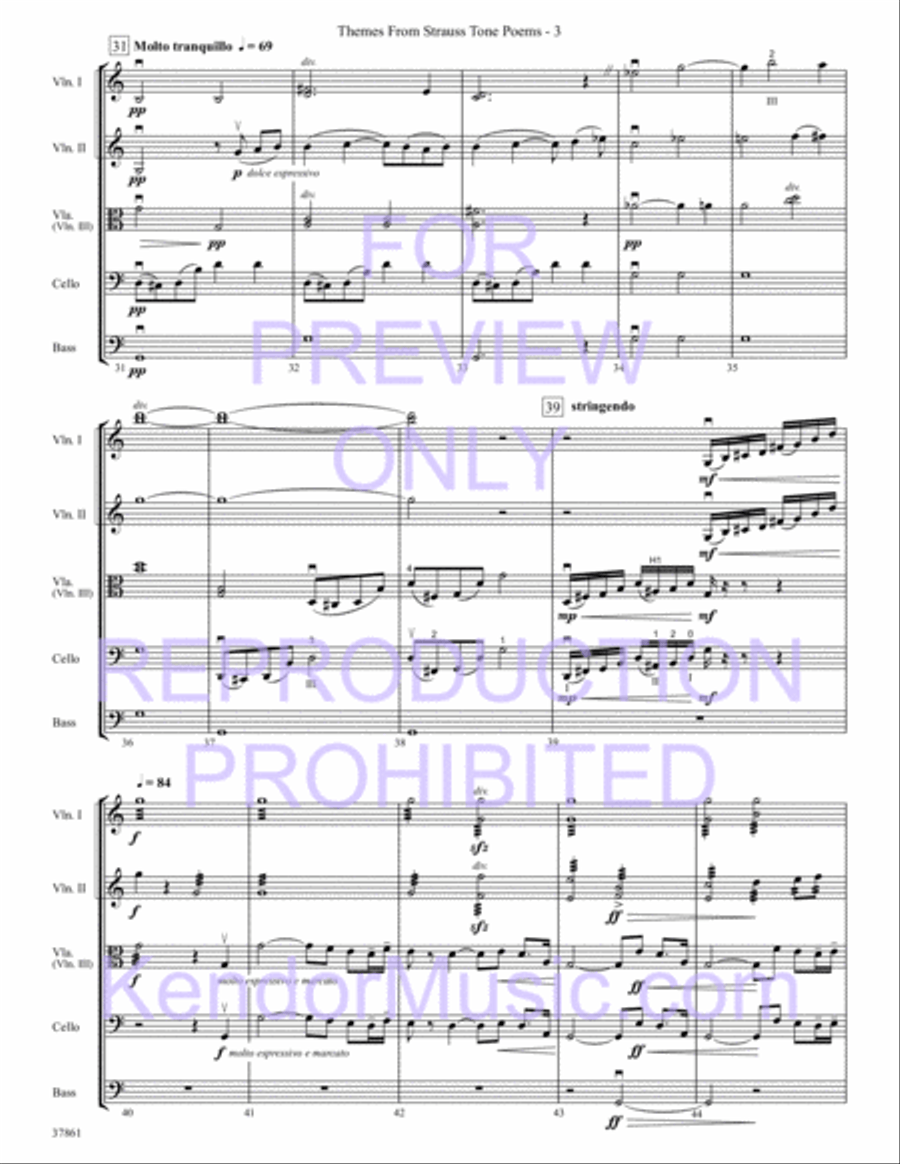 Themes From Strauss Tone Poems String Orchestra scores gallery preview page 5