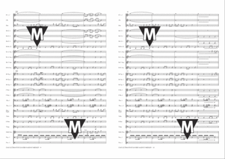 Das Ultimative Xavier Naidoo Medley Concert Band scores gallery preview page 6