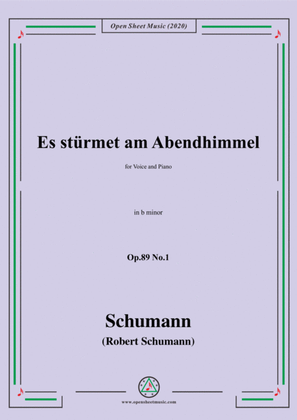 Book cover for Schumann-Es stürmet am Abendhimmel,Op.89 No.1,in b minor