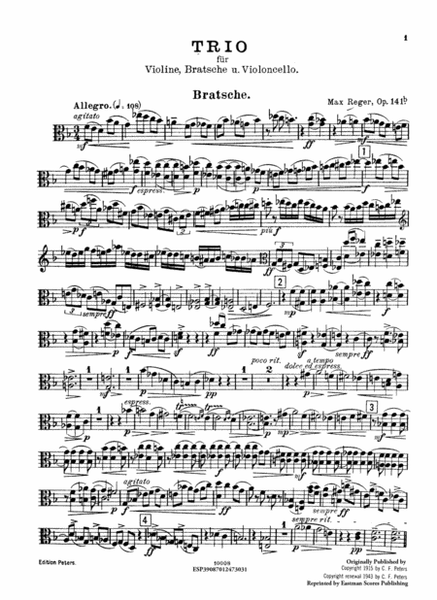 Trio (D moll) fur Violine, Bratsche und Violoncello, op. 141b