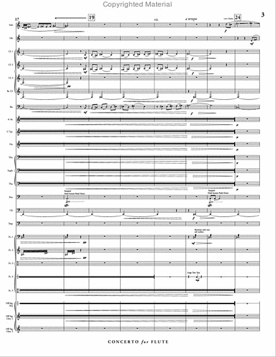 Concerto for Flute & Wind Ensemble Concert Band scores gallery preview page 4