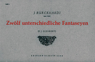 Book cover for 12 unterschiedliche Fantaseyen