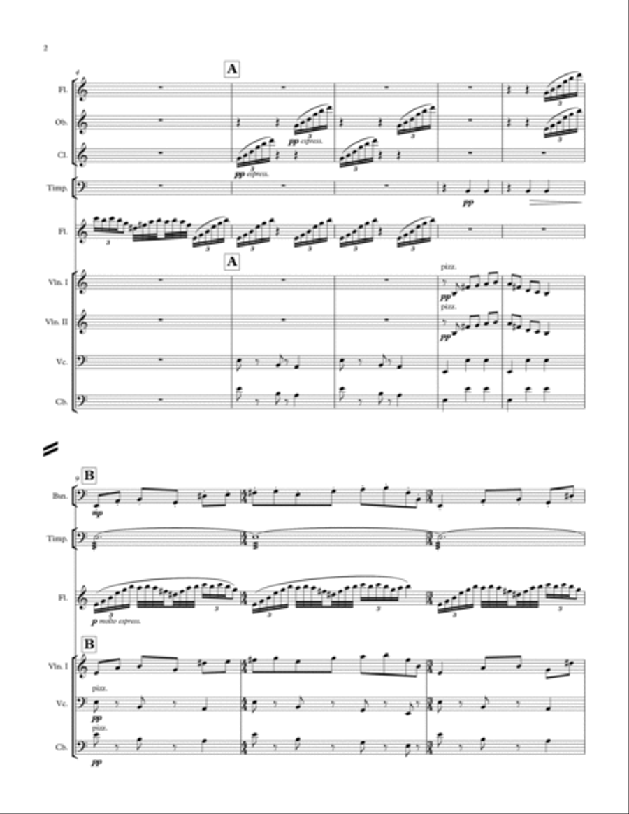 Dance for the Moon (Version for Flute and Symphonic Orchestra) Full Orchestra scores gallery preview page 2