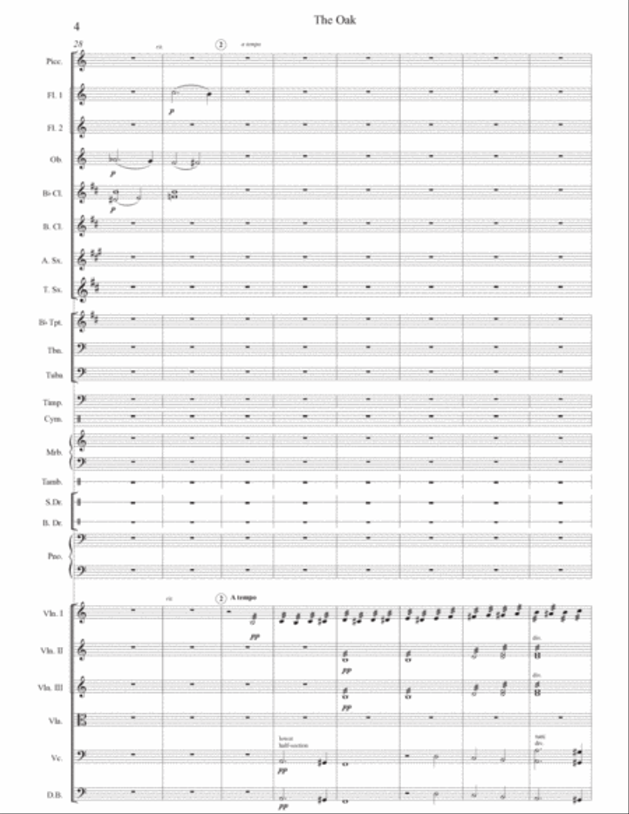 The Oak Chamber Orchestra scores gallery preview page 4