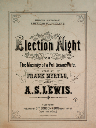 Election Night, or, The Musings of a Politician's Wife