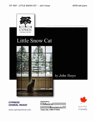 Book cover for Little Snow Cat