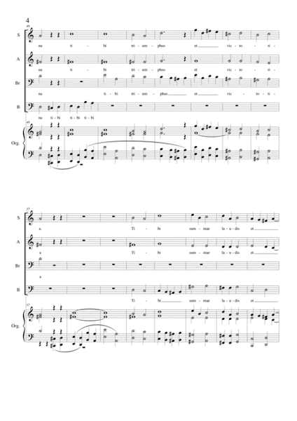 Magnus es Domine - Motet for Choir SABrB and organ image number null