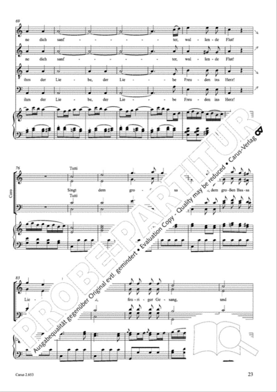 Choral collection Great Opera Choruses - Mozart * Haydn (choir & piano) Choir scores gallery preview page 34