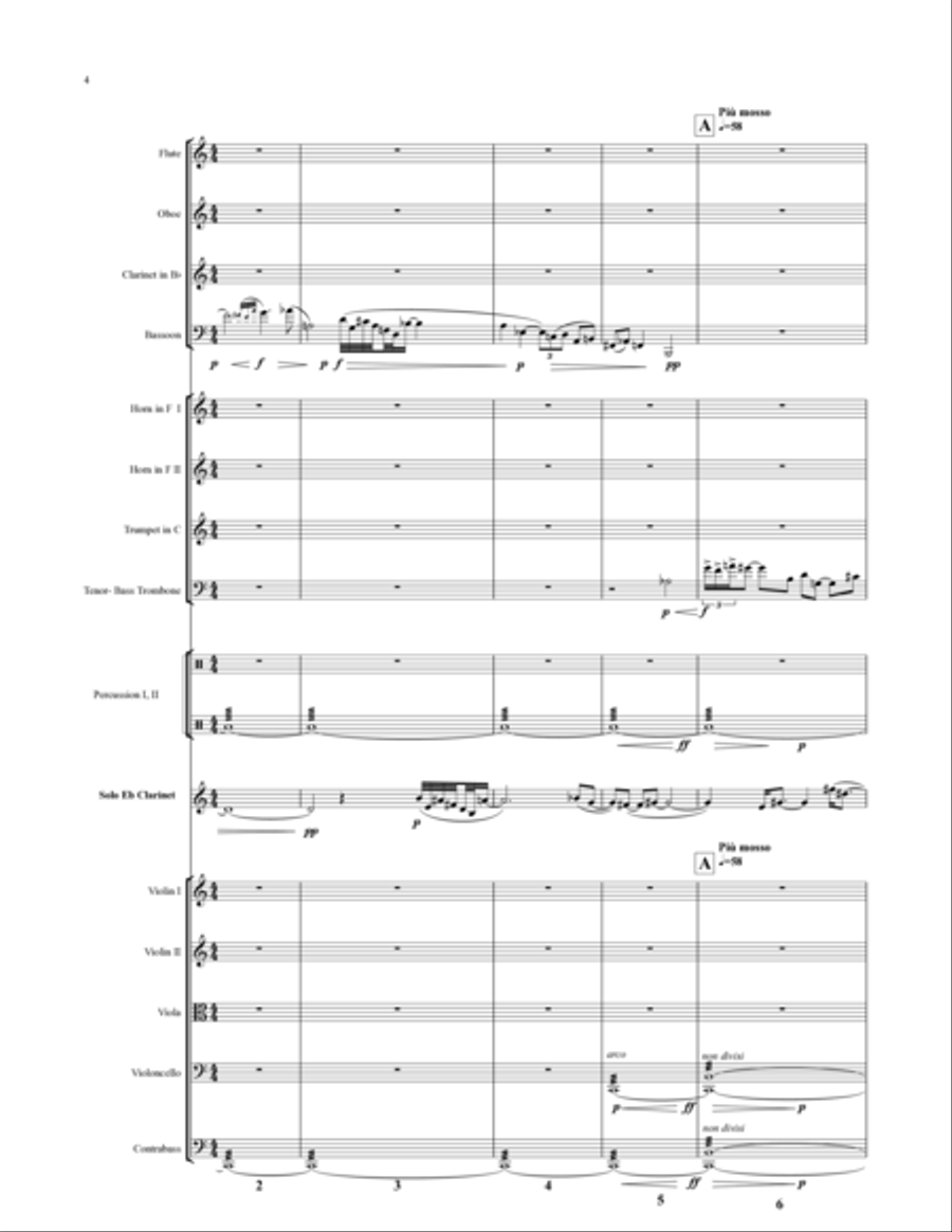 Concerto for Piccolo Clarinet and Chamber Orchestra Chamber Orchestra scores gallery preview page 5