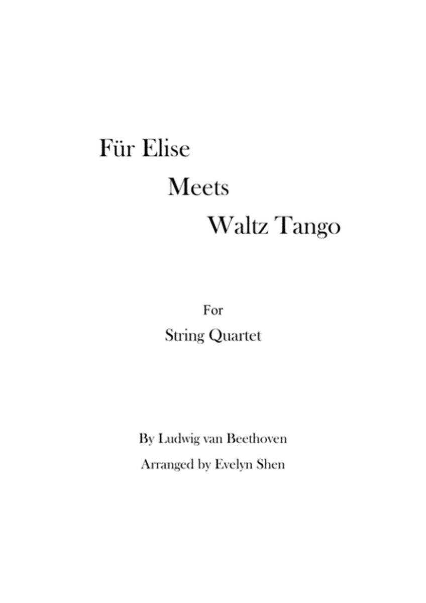 Für Elise Meets Tango Waltz image number null