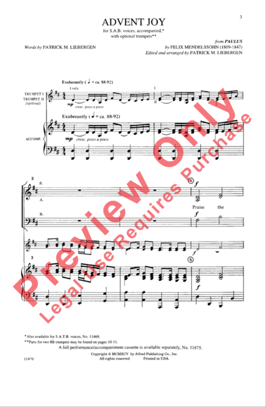 Advent Joy (from Paulus) 3-Part scores gallery preview page 3