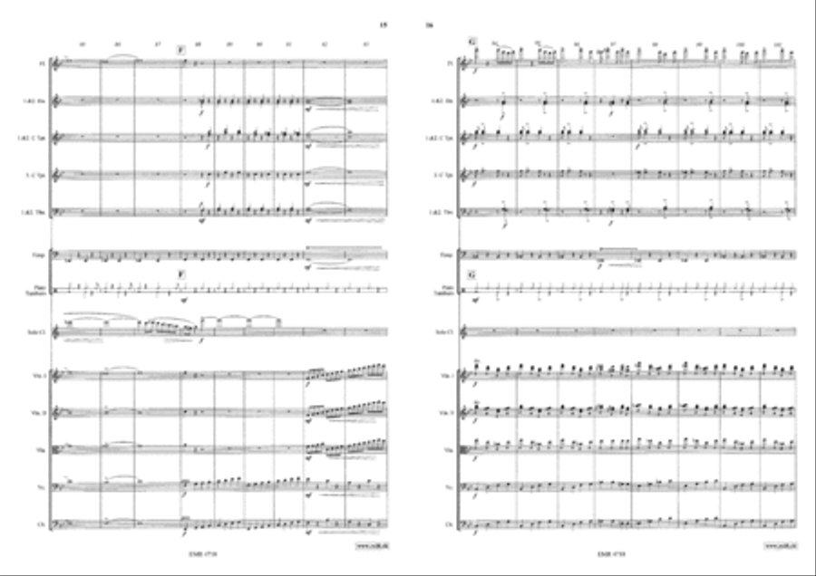 Concertino Orchestra scores gallery preview page 10