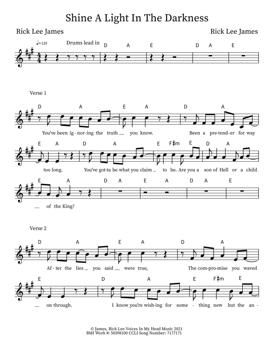 Shine A Light In The Darkness Piano, Vocal, Guitar scores gallery preview page 1