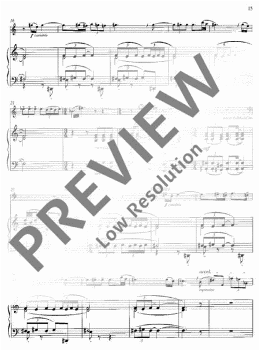 Concerto Concerto Recorder scores gallery preview page 16