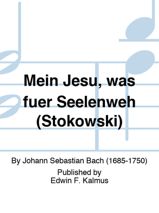 Book cover for Mein Jesu, was fuer Seelenweh (Stokowski)