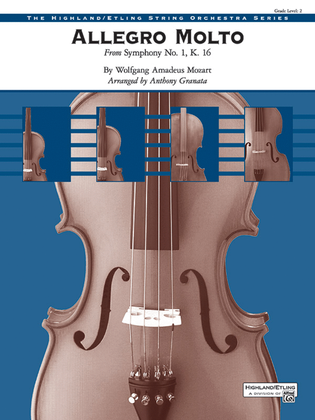Book cover for Allegro Molto
