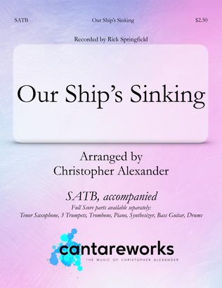 Book cover for Our Ship S Sinking