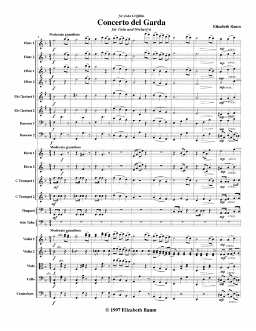 Concerto del Garda Orchestra scores gallery preview page 2