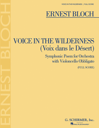 Book cover for Voice in the Wilderness (Symphonic Poem)