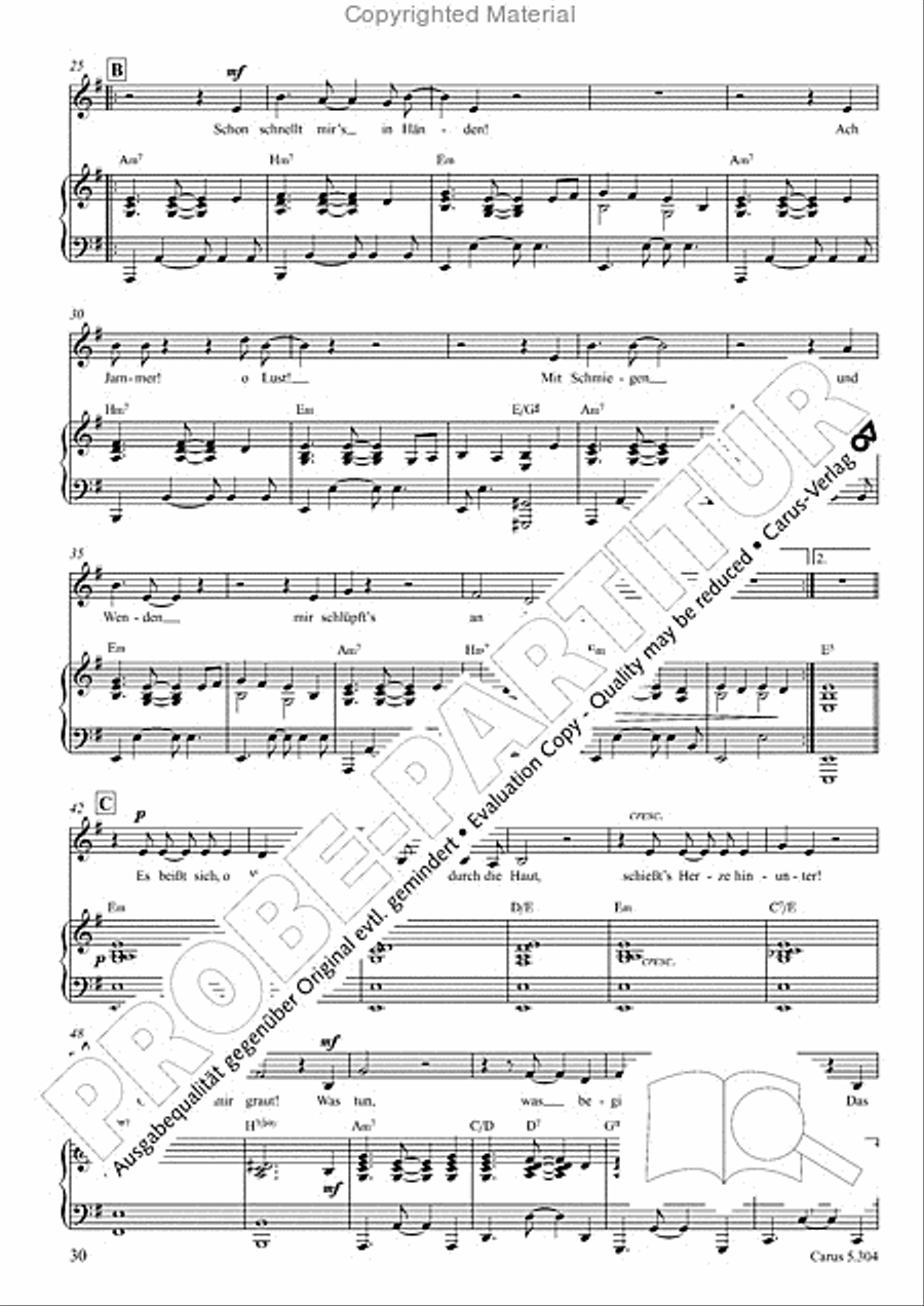Schindler: Rosenzeit. Ein Liederzyklus uber die Liebe. Chansons fur Singstimme und Klavier Piano scores gallery preview page 31