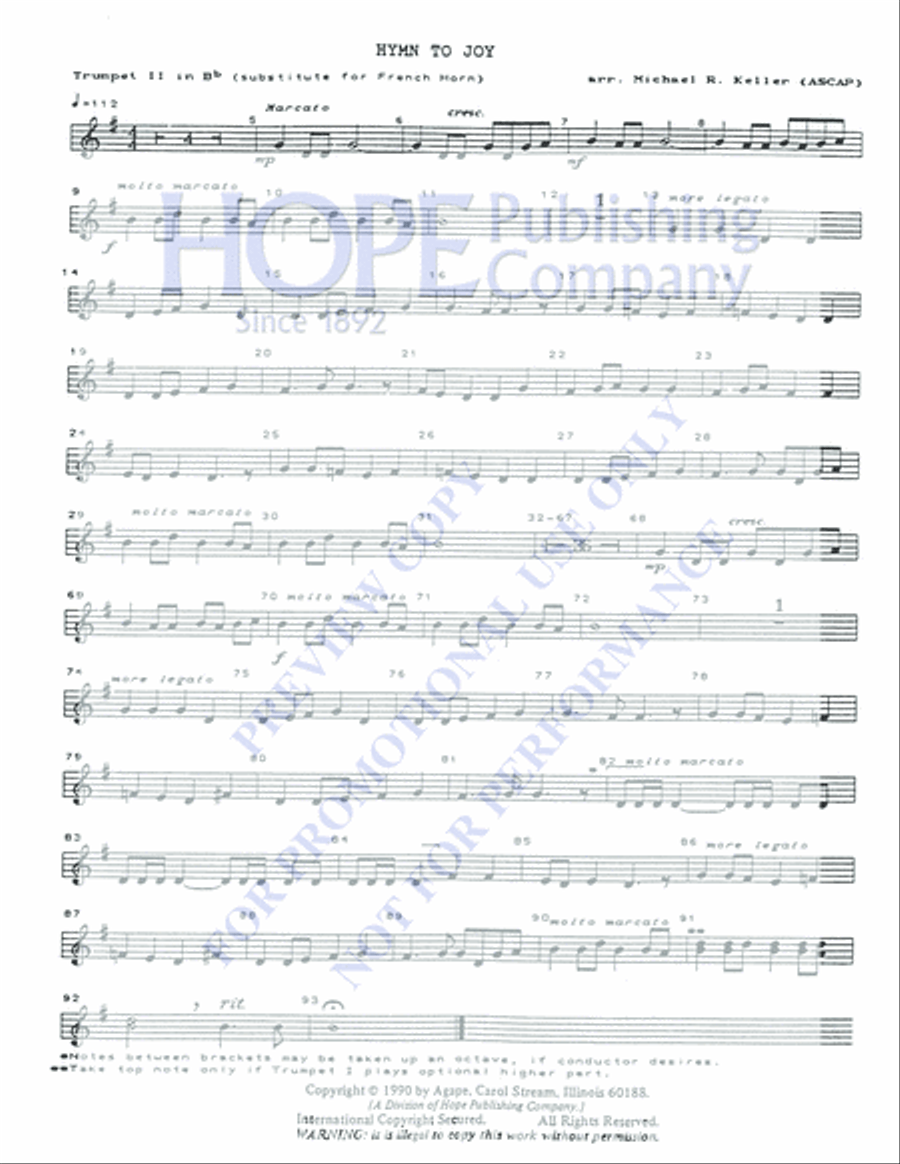 Hymn to Joy 5-Octaves scores gallery preview page 3