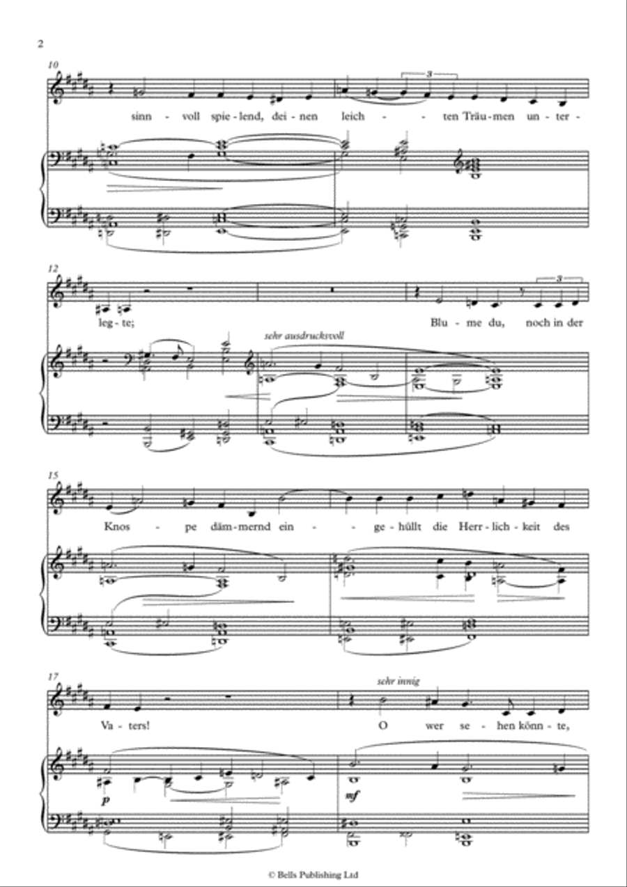 Schlafendes Jesuskind (B Major) Voice Solo scores gallery preview page 2