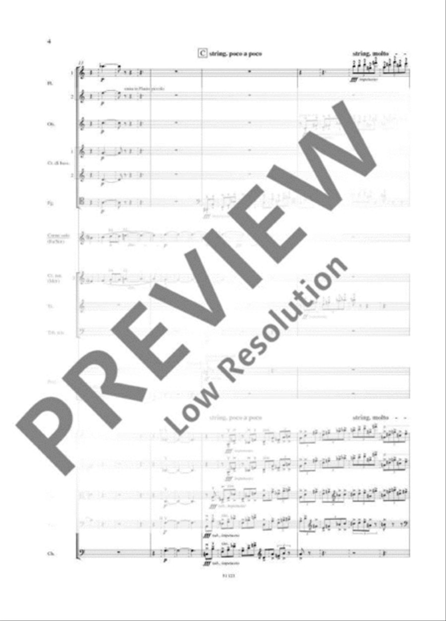 Hamburg Concerto Chamber Orchestra scores gallery preview page 15