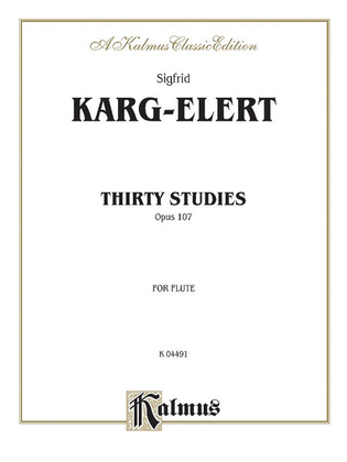 Book cover for Thirty Studies Op.107