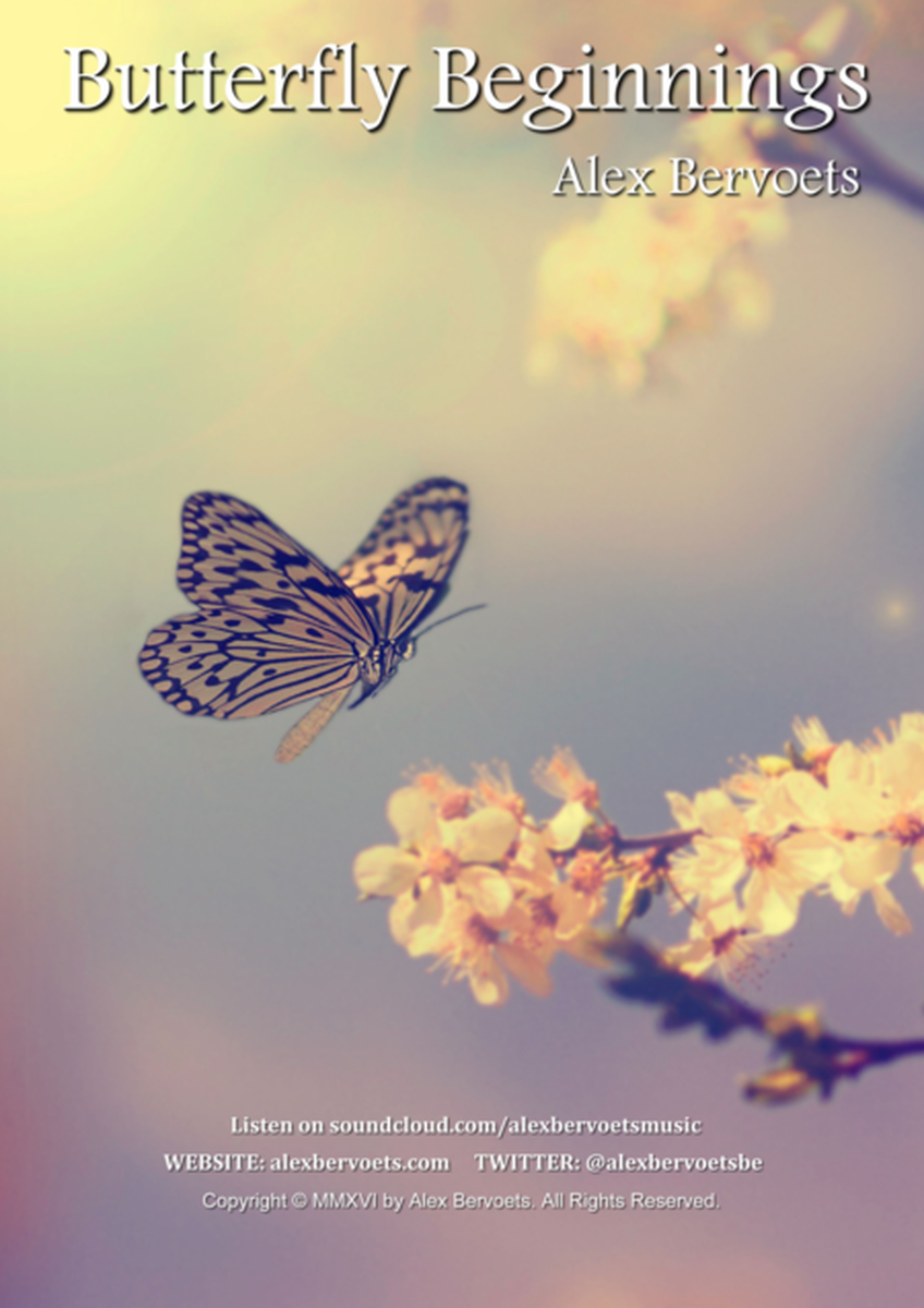 Butterfly Beginnings image number null