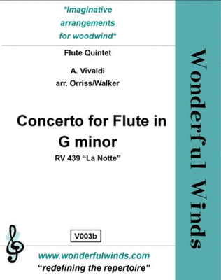 Concerto For Flute In G Minor