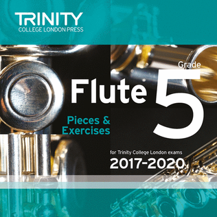 Book cover for Flute Exam Pieces 2017-2020 CD: Grade 5