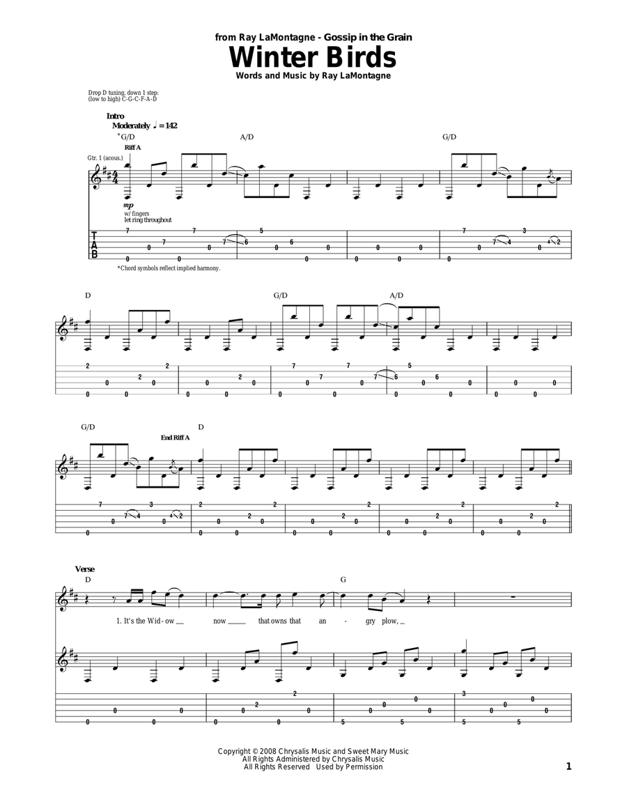 Winter Birds Acoustic Guitar scores gallery preview page 1