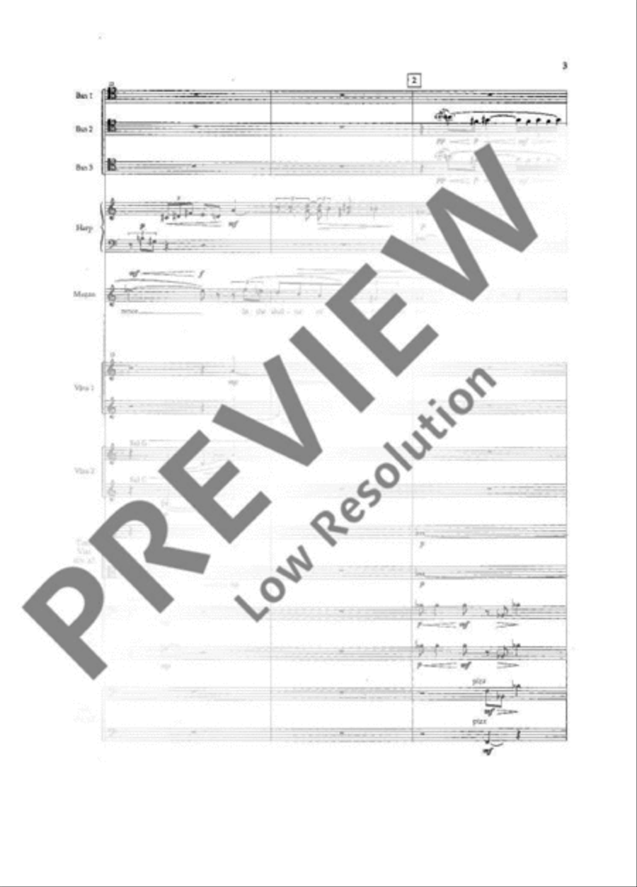 Some Days Some Days Orchestra scores gallery preview page 8