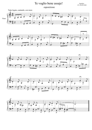 Te Voglio Bene Assaje : five harmonic variations for solo piano