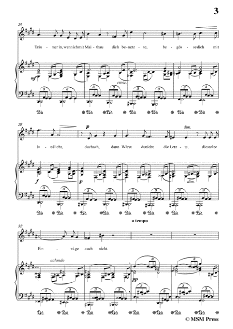 Richard Strauss-Die Georgine in c sharp minor,for Voice and Piano Voice Solo scores gallery preview page 5