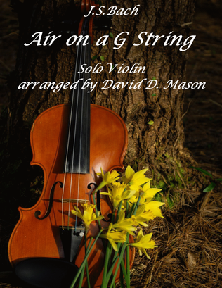 Book cover for Air on a G String
