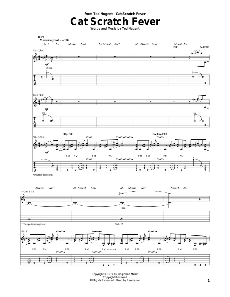 Cat Scratch Fever Acoustic Guitar scores gallery preview page 1