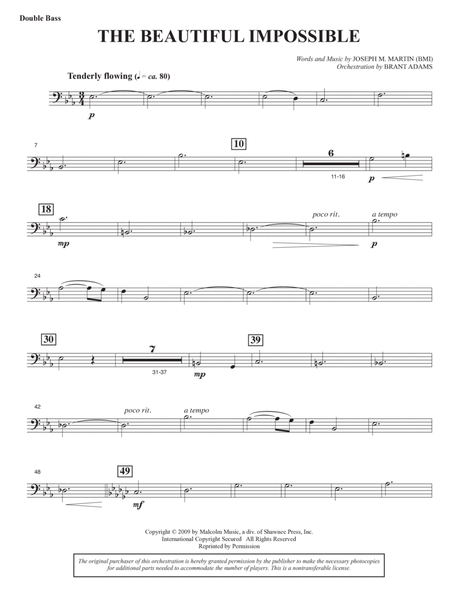 Book cover for The Beautiful Impossible - Double Bass