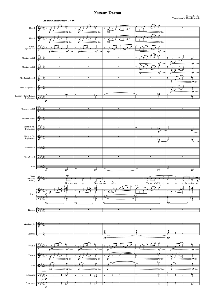 Nessun dorma Chamber Orchestra scores gallery preview page 4