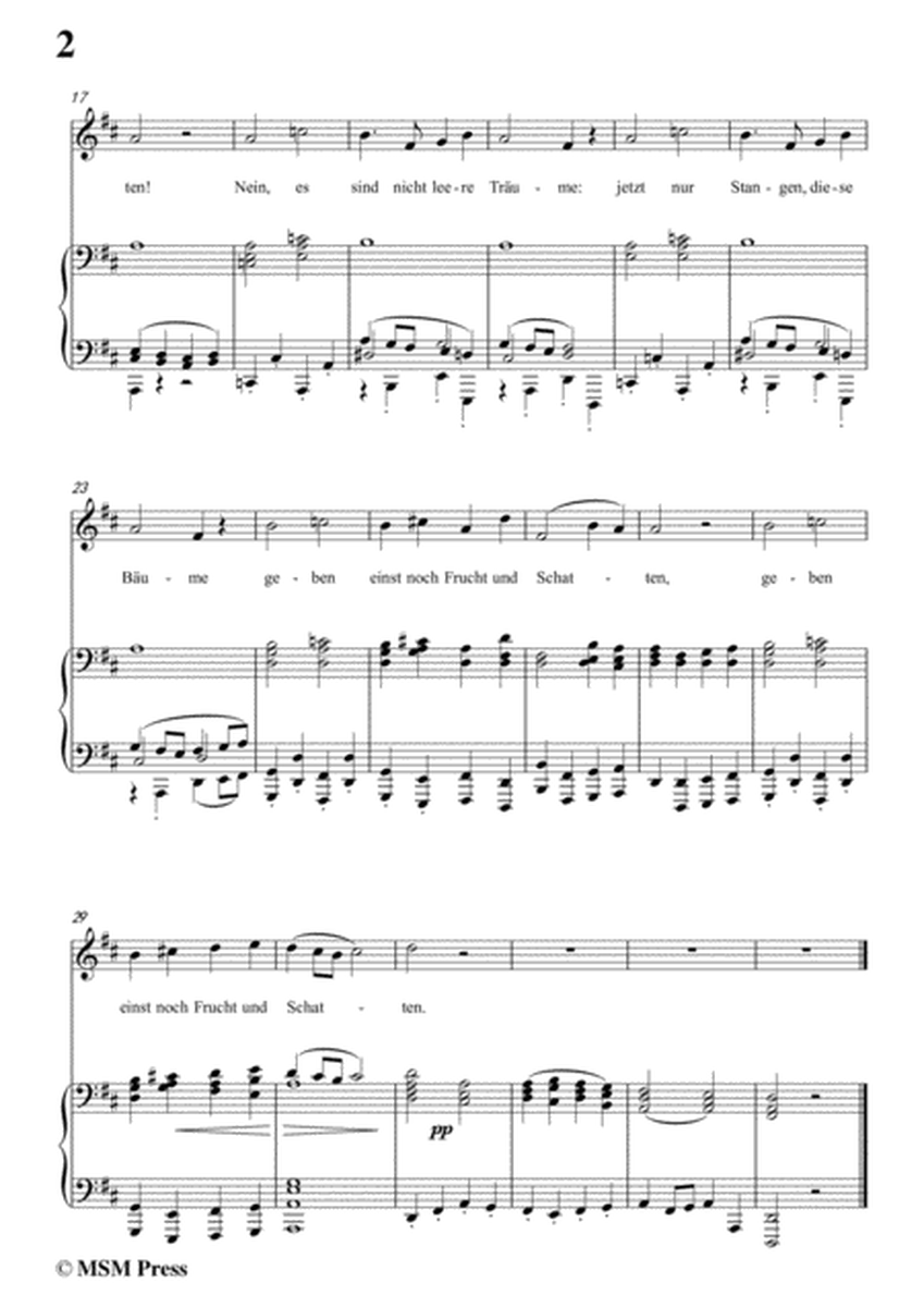 Schubert-Hoffnung,in D Major,for Voice&Piano image number null