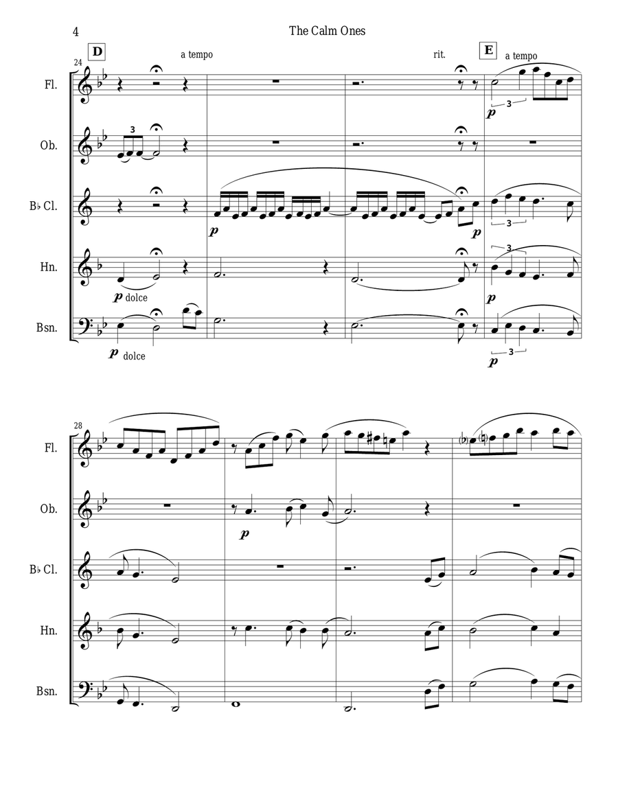 The Calm Ones (in a Noisy World) - woodwind quintet Woodwind Quintet scores gallery preview page 4