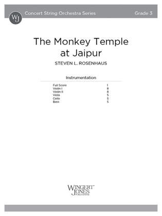 The Monkey Temple at Jaipur