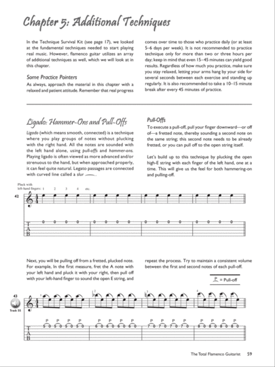 The Total Flamenco Guitarist