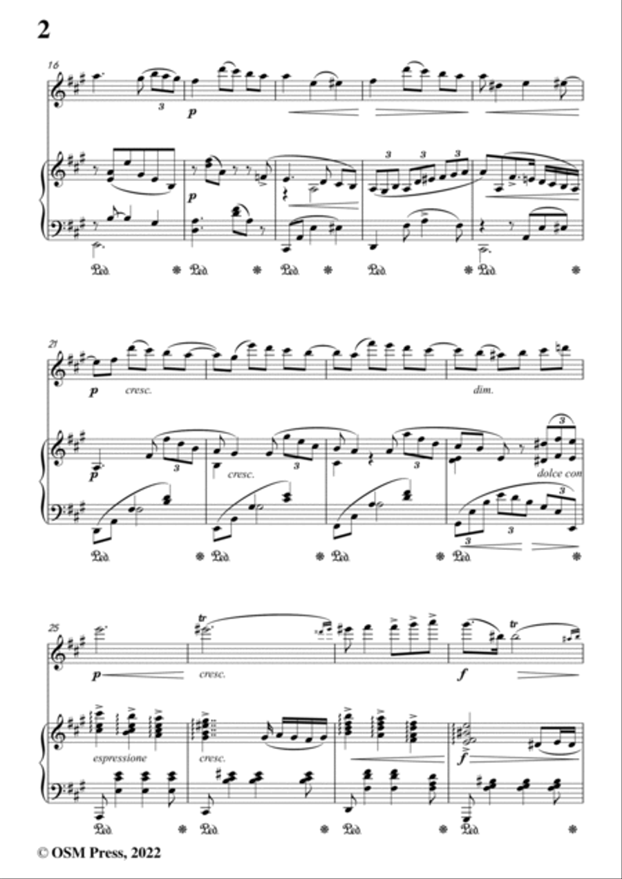 Wagner-In das Album der Fürstin Metternich(Romanze),WWV 94 Violin Solo scores gallery preview page 4