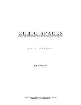 Cubic Spaces