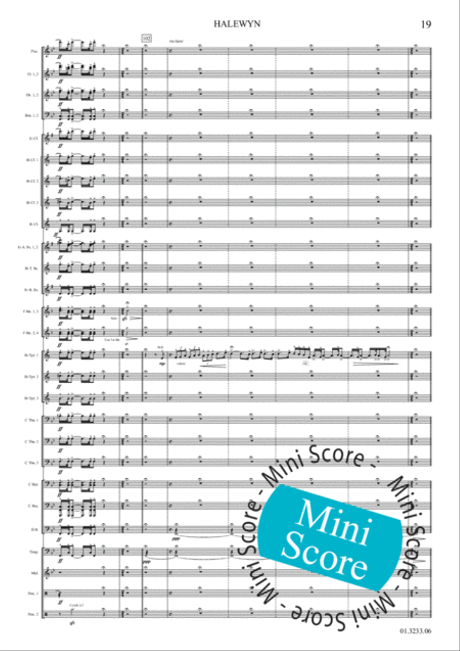 Halewijn Concert Band scores gallery preview page 25