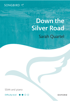 Book cover for Down the silver road
