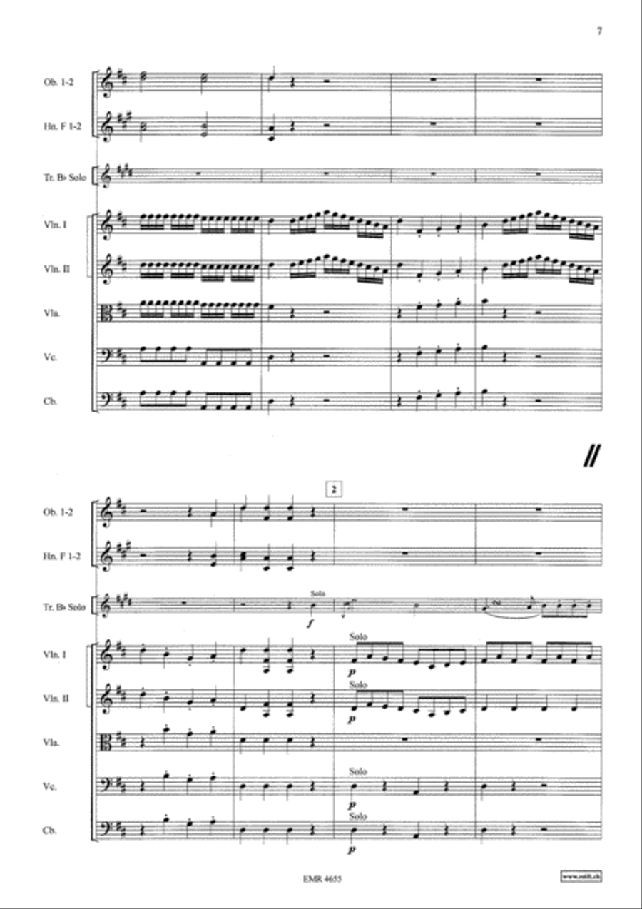 Concerto in D Major Concerto in D Major Orchestra scores gallery preview page 7